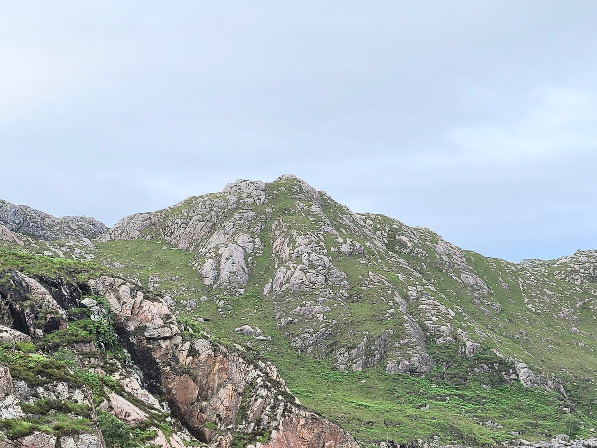 Wallace High Duke of Edinburgh tweet media