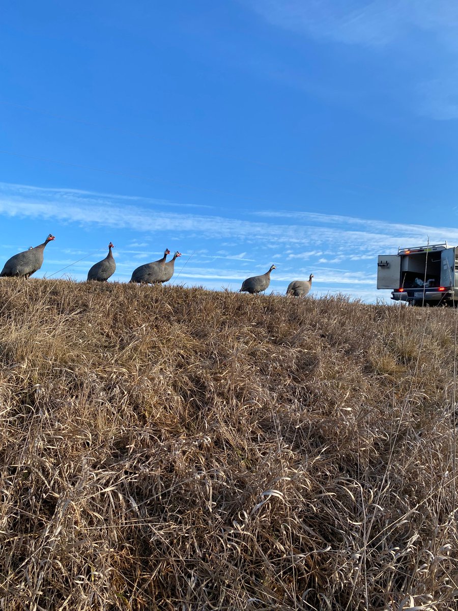 USGS OKI - Ohio.Kentucky.Indiana tweet media