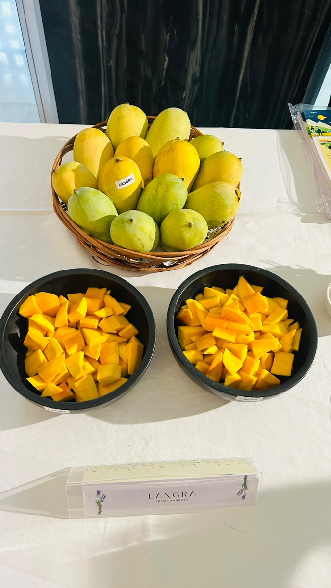 APEDADOC's tweet photo. APEDA jointly with #German Embassy and Indo German #Agriculture marketing development project organised an Indian #Mango Promotion event at the German #Embassy.
#APEDA #IndianMango #MangoPromotion #ExportPromotion https://t.co/vnyFy8bmzE
