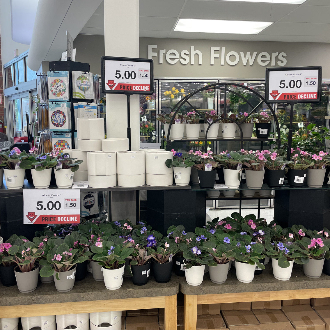 WindsorHyVee's tweet photo. Going on this week. African violets are $5 each. Lots of colors to choose from. Pick up a self watering pot to water your baby right. https://t.co/OpvR4dwkra