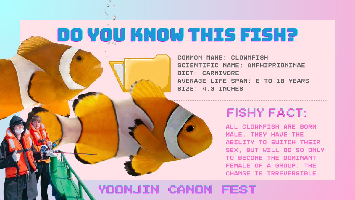 yoonjin_canon's tweet photo. [FISH NAMES] Oh, hey there! On this episode of fish names... 🤓☝️

#yoonjin #yoonjincanonfest #fishnames https://t.co/fmlURtqydS