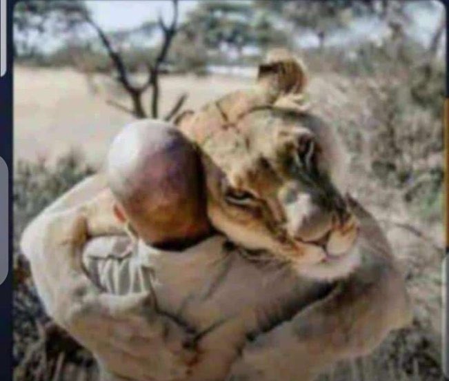 Bigdraxxx7's tweet photo. I tell King of the jungle my story he say make I hug am 😭 https://t.co/6wTIt8om3M