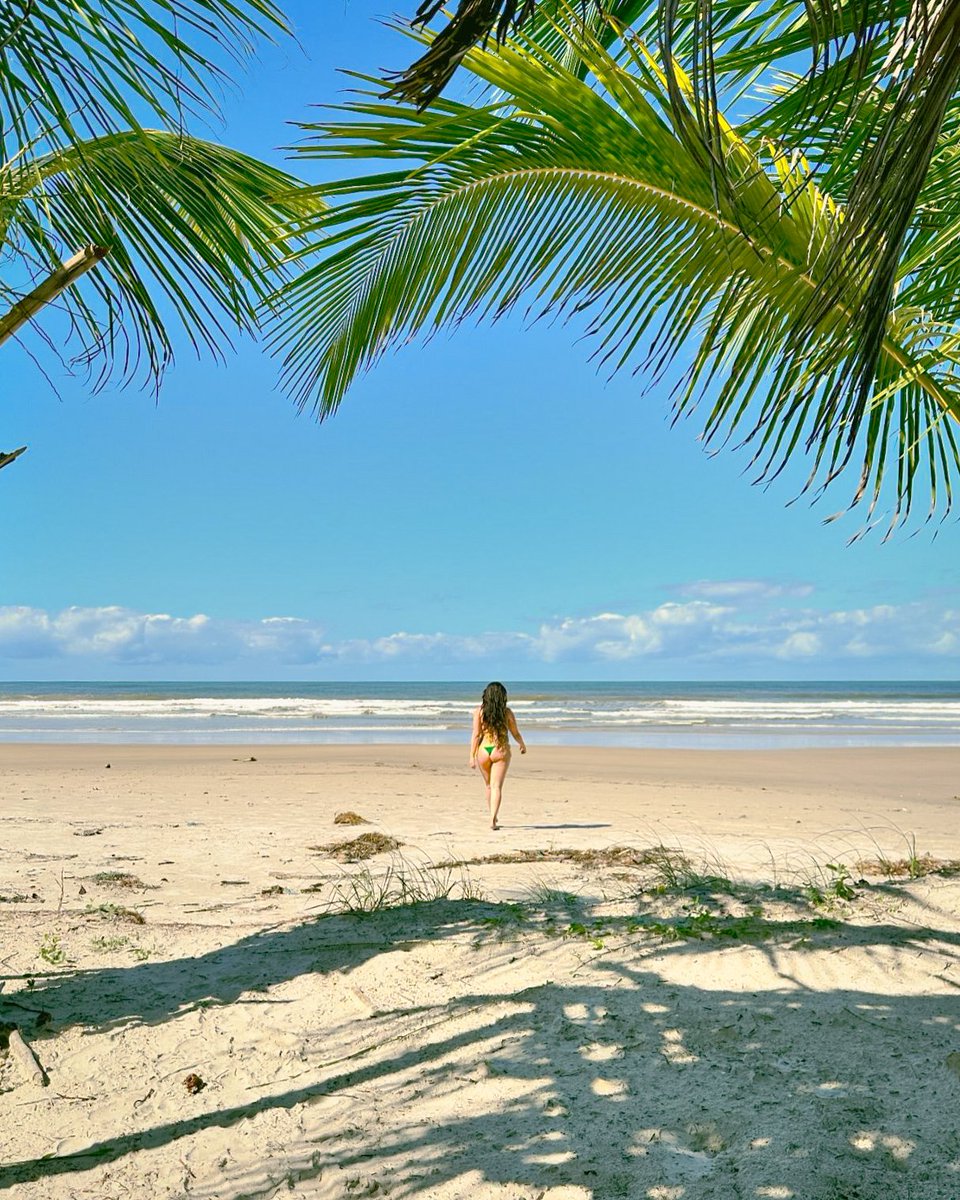 power lauren pics tweet media