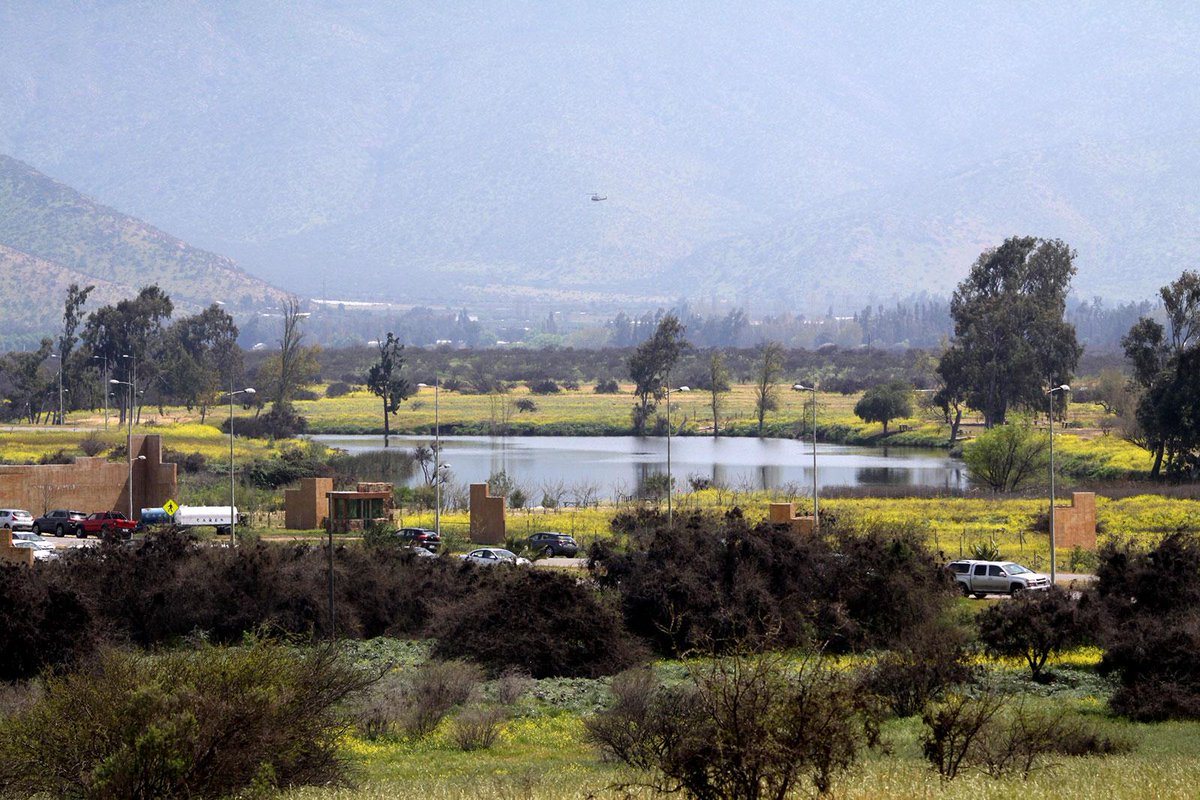 Comienza licitación por servicios especializados de arquitectura para nueva sede del <a href="/Idiem/">Idiem</a> en el Parque Carén de la U. de Chile, proceso que estará abierto hasta el próximo 28 de agosto uchile.cl/u217771