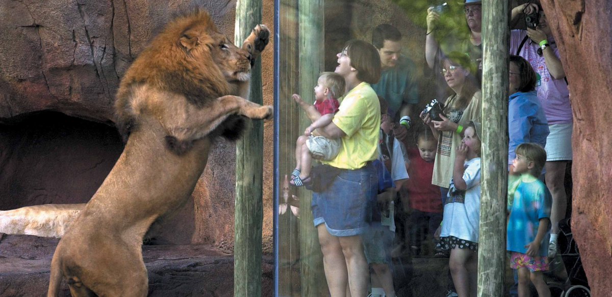 TBT: WDM designed the Pride of the Plains exhibit opened in 2000 at <a href="/sedgwickcozoo/">Sedgwick County Zoo</a> for lions, warthogs, meerkats and African hunting dogs. buff.ly/3XnuCQs