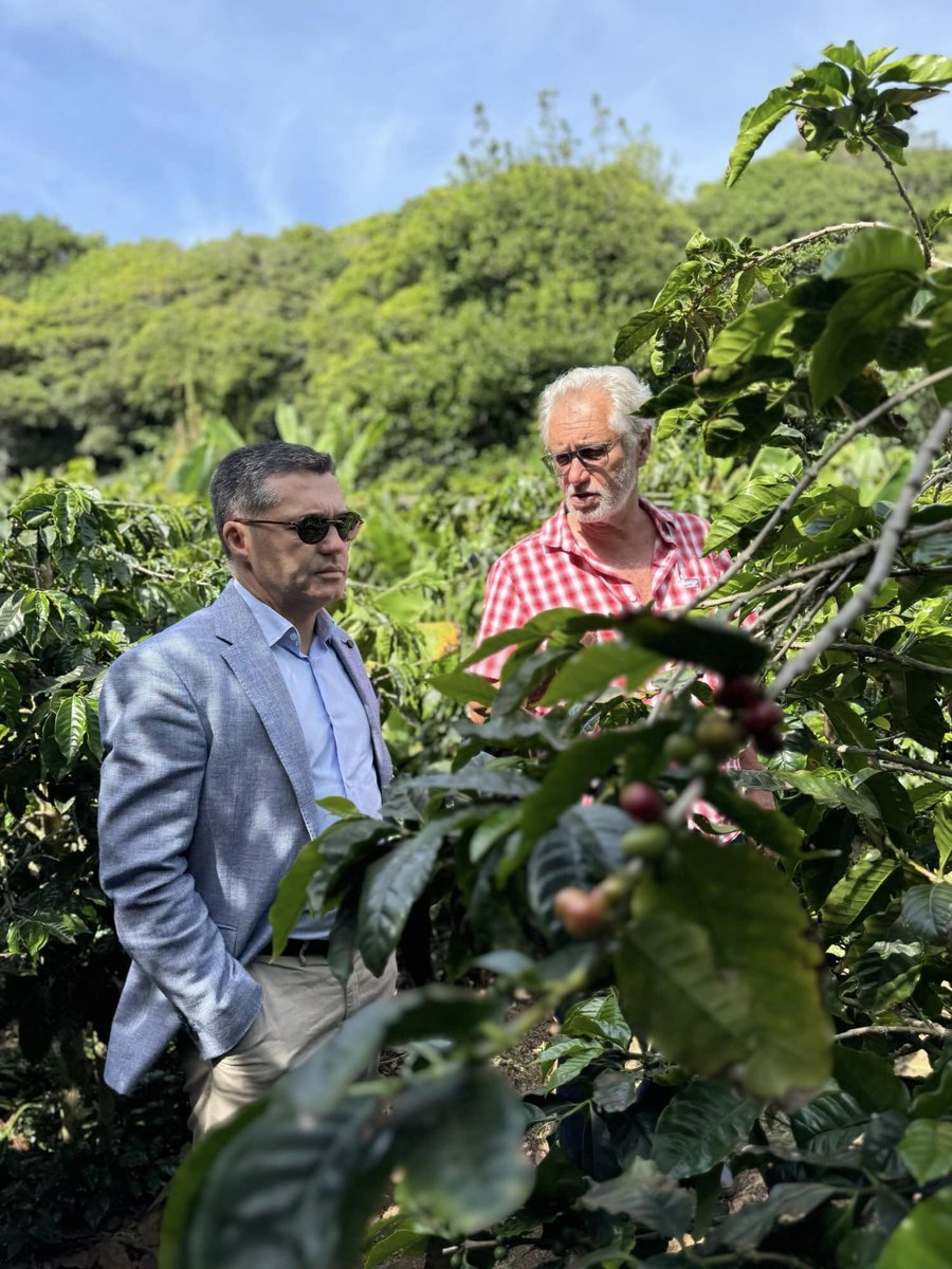 alraa_9's tweet image. Presidente da Assembleia Legislativa enaltece o papel crucial do Museu de Angra ao longo de 75 anos de existência

Nota completa em:
tinyurl.com/2p9j7uma

#ALRAA #parlamentoaçoriano #faial #terceira #açores