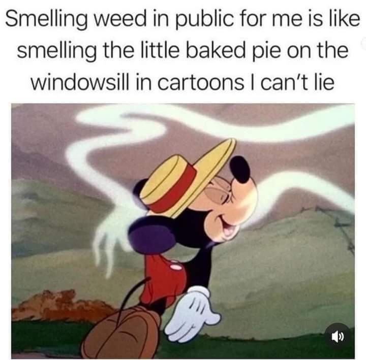 HotRob420's tweet photo. https://t.co/wRzOOzGoiC