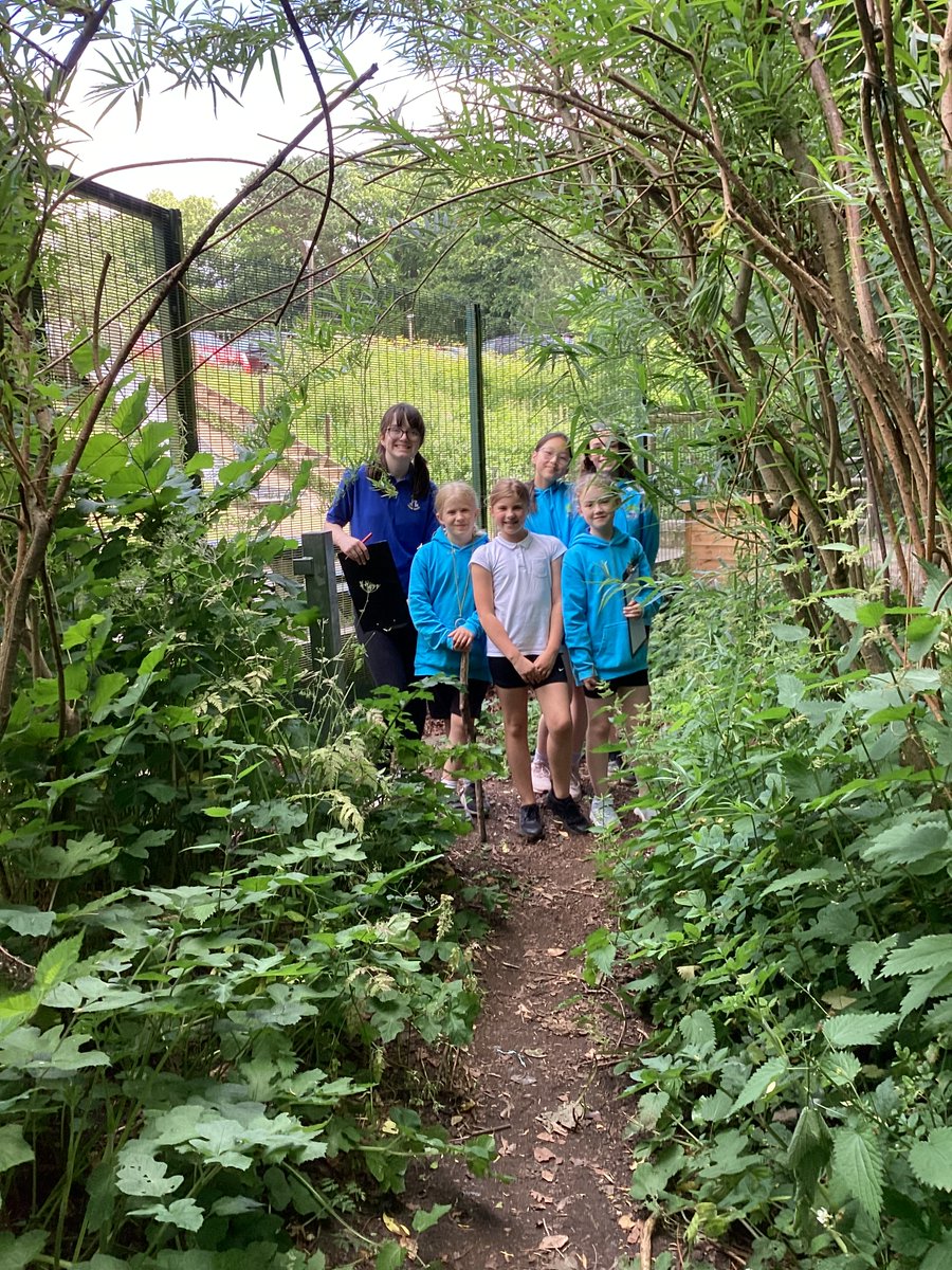 LJS6SH's tweet photo. 6HW used their geographical skills to map out our school  woods. 🧭 https://t.co/7QRu43vz2G