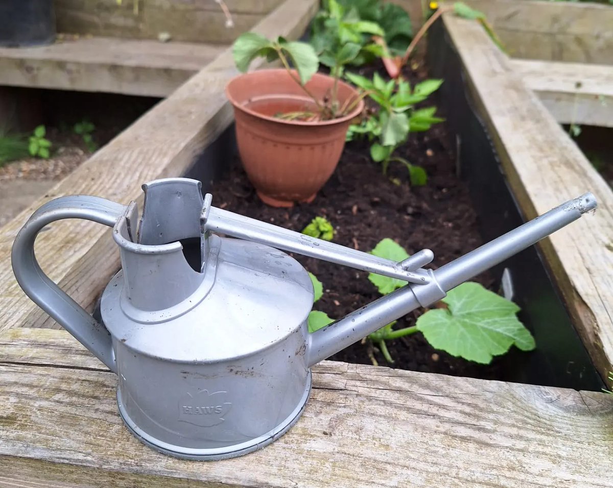 Eleanor Pearce (@eleanorpearce) on Twitter photo Places are still available for the 'Up the Allotments!' Art Course at Reynolds Allotments, kicking off this Sunday! 2pm - 4pm FREE Ages 17 +
Bookings & Info: eventbrite.co.uk/e/up-the-allot…
This programme is generously supported by <a href="/HeritageFundUK/">The National Lottery Heritage Fund</a> partners <a href="/l00plabs/">LOOP LABS</a> & <a href="/EastsideCH/">Eastside Community Heritage</a> Places are still available for the 'Up the Allotments!' Art Course at Reynolds Allotments, kicking off this Sunday! 2pm - 4pm FREE Ages 17 +
Bookings & Info: eventbrite.co.uk/e/up-the-allot…
This programme is generously supported by <a href="/HeritageFundUK/">The National Lottery Heritage Fund</a> partners <a href="/l00plabs/">LOOP LABS</a> & <a href="/EastsideCH/">Eastside Community Heritage</a>