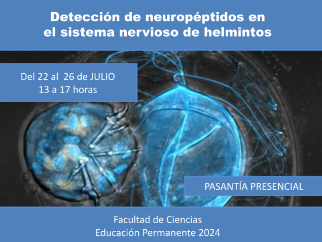 eduperfcien's tweet photo. Estimad@s,  Están abiertas las inscripciones para la pasantía  EP "Detección de neuropéptidos en
el sistema nervioso de helmintos".  INSCRIPCIONES: https://t.co/0op32MVTkX………… …hasta el 1 de julio. Matrícula: sin costo.  Adjuntamos más info. https://t.co/DizGhOAHe8