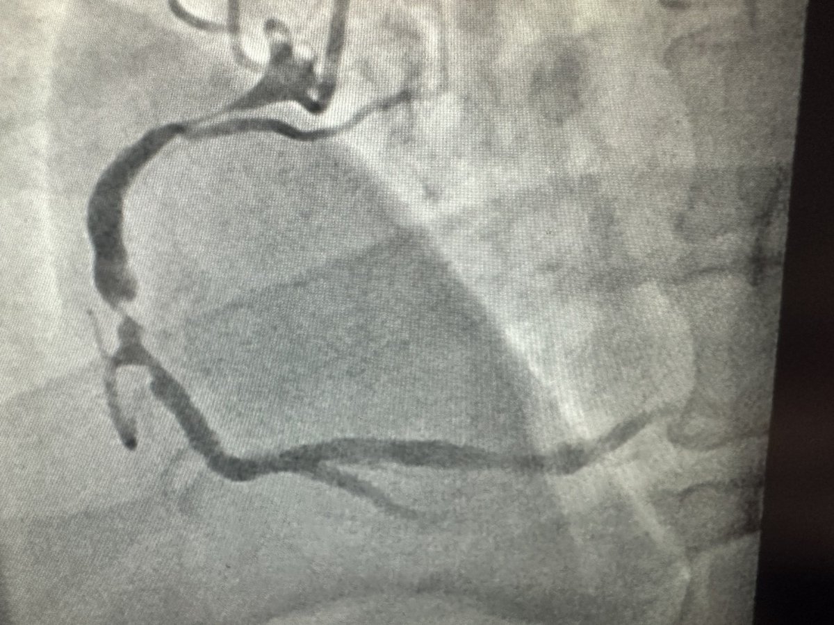 mandeep singh tweet media