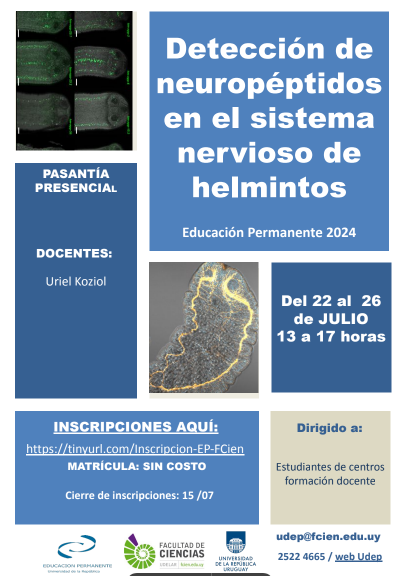 eduperfcien's tweet photo. Estimad@s,  Están abiertas las inscripciones para la pasantía  EP "Detección de neuropéptidos en
el sistema nervioso de helmintos".  INSCRIPCIONES: https://t.co/0op32MVTkX………… …hasta el 1 de julio. Matrícula: sin costo.  Adjuntamos más info. https://t.co/DizGhOAHe8