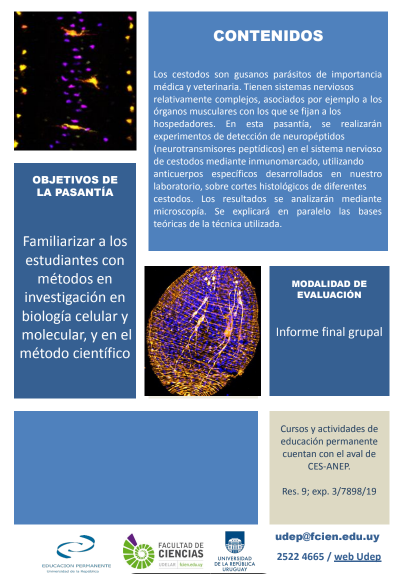 eduperfcien's tweet photo. Estimad@s,  Están abiertas las inscripciones para la pasantía  EP "Detección de neuropéptidos en
el sistema nervioso de helmintos".  INSCRIPCIONES: https://t.co/0op32MVTkX………… …hasta el 1 de julio. Matrícula: sin costo.  Adjuntamos más info. https://t.co/DizGhOAHe8