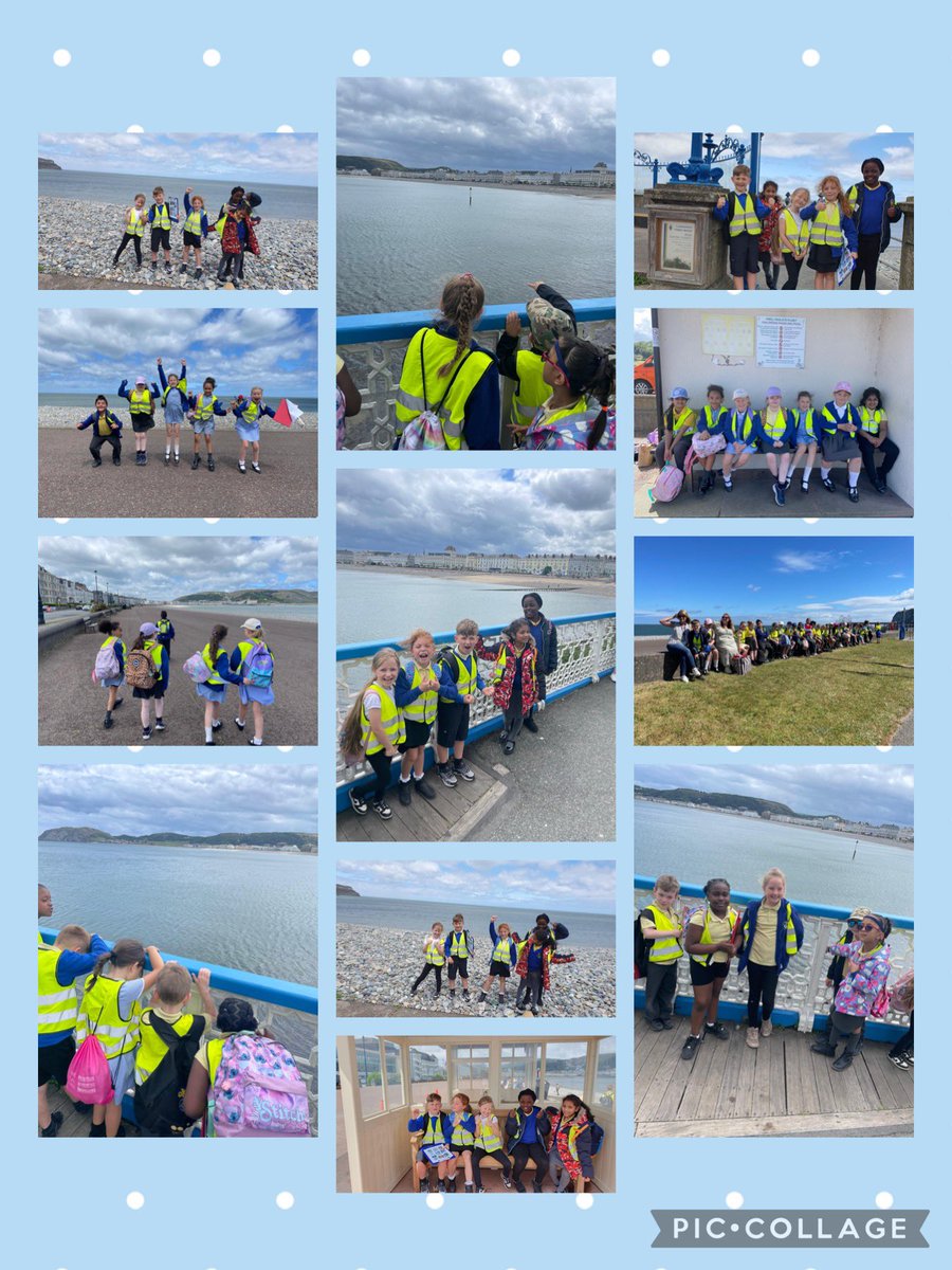 Button Lane Primary tweet media