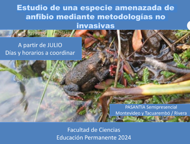 eduperfcien's tweet photo. Estimad@s,  Están abiertas las inscripciones para la pasantía  EP "Estudio de una especie amenazada de
anfibio mediante metodologías no invasivas".  INSCRIPCIONES: https://t.co/0op32MVTkX………… …hasta el 5 de julio. Matrícula: sin costo.  Adjuntamos más info. https://t.co/oKndImkTyB