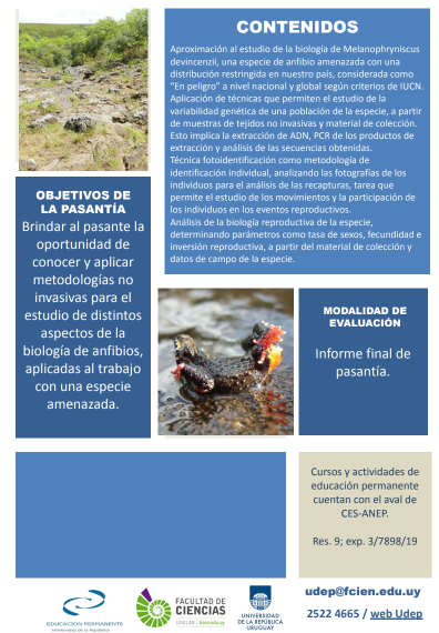 eduperfcien's tweet photo. Estimad@s,  Están abiertas las inscripciones para la pasantía  EP "Estudio de una especie amenazada de
anfibio mediante metodologías no invasivas".  INSCRIPCIONES: https://t.co/0op32MVTkX………… …hasta el 5 de julio. Matrícula: sin costo.  Adjuntamos más info. https://t.co/oKndImkTyB