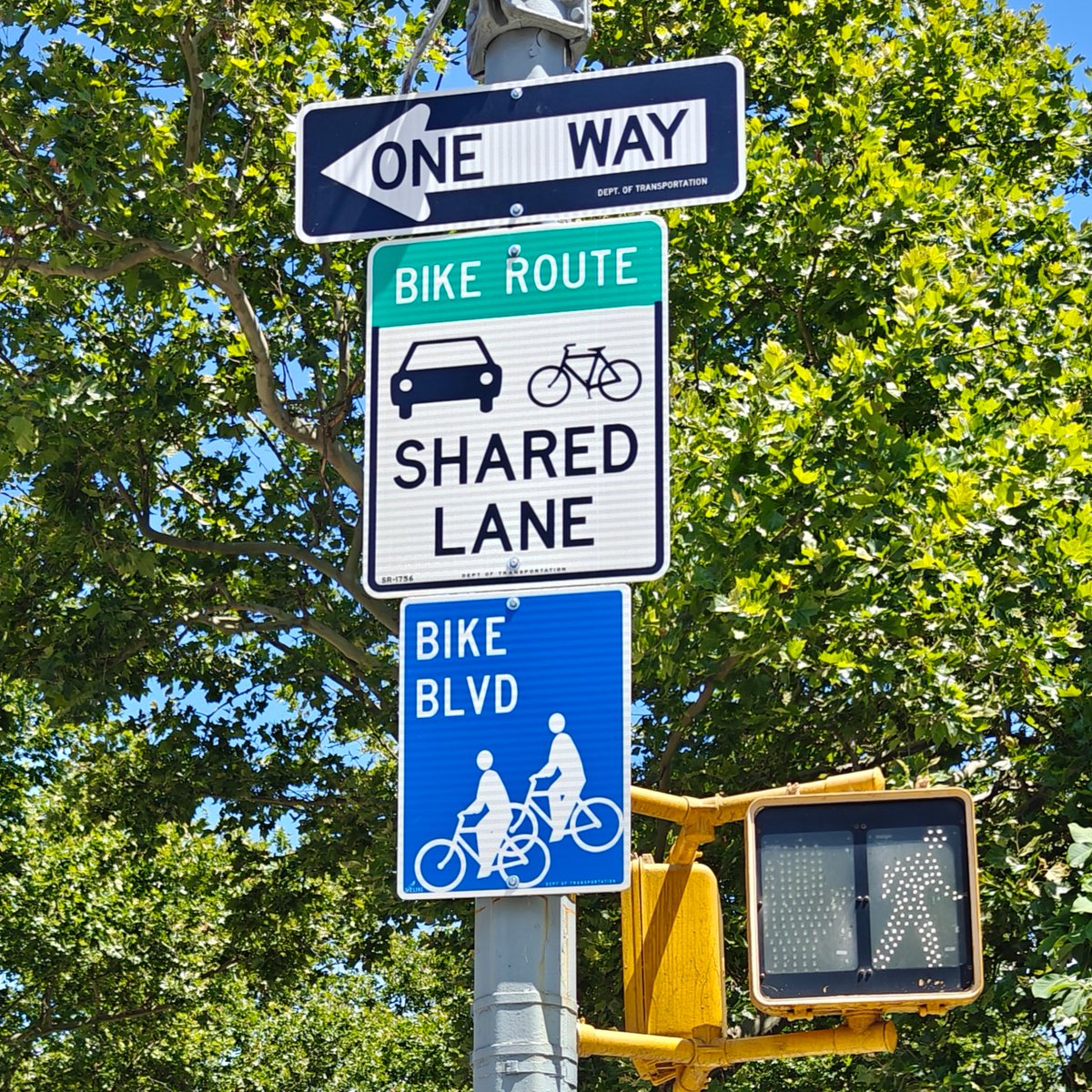 Underhill Avenue Open Street tweet media