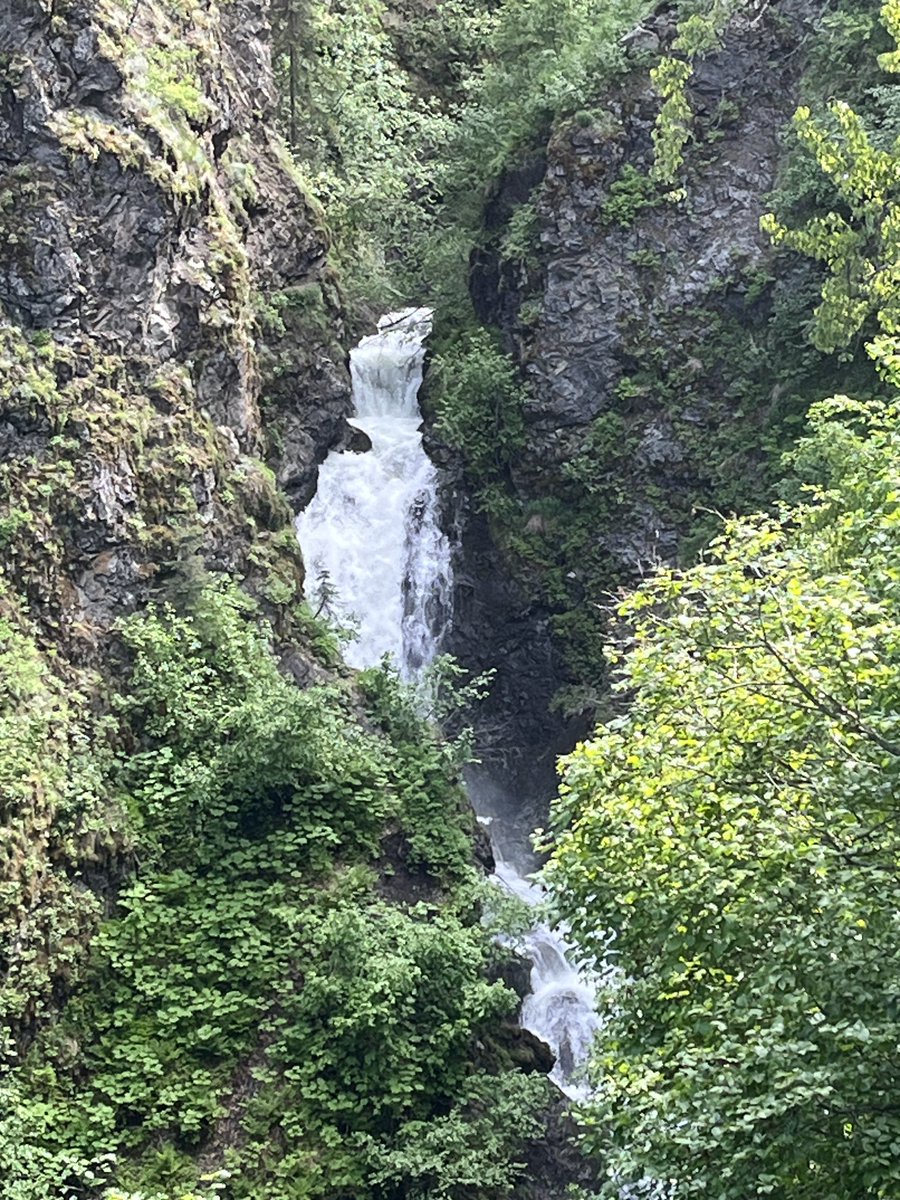 AlaskaOutpost's tweet image. Oh, Alaska …