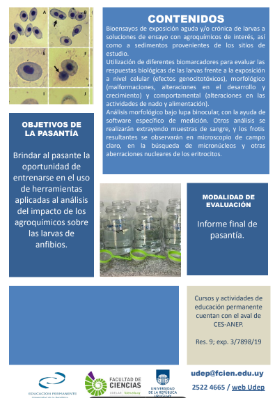 eduperfcien's tweet photo. Estimad@s,  Están abiertas las inscripciones para la pasantía  EP "Utilización de anfibios en estudios de ecotoxicología".  INSCRIPCIONES: https://t.co/0op32MVTkX………… …hasta el 5 de julio. Matrícula: sin costo.  Adjuntamos más info. https://t.co/HuYjGy0TZ0