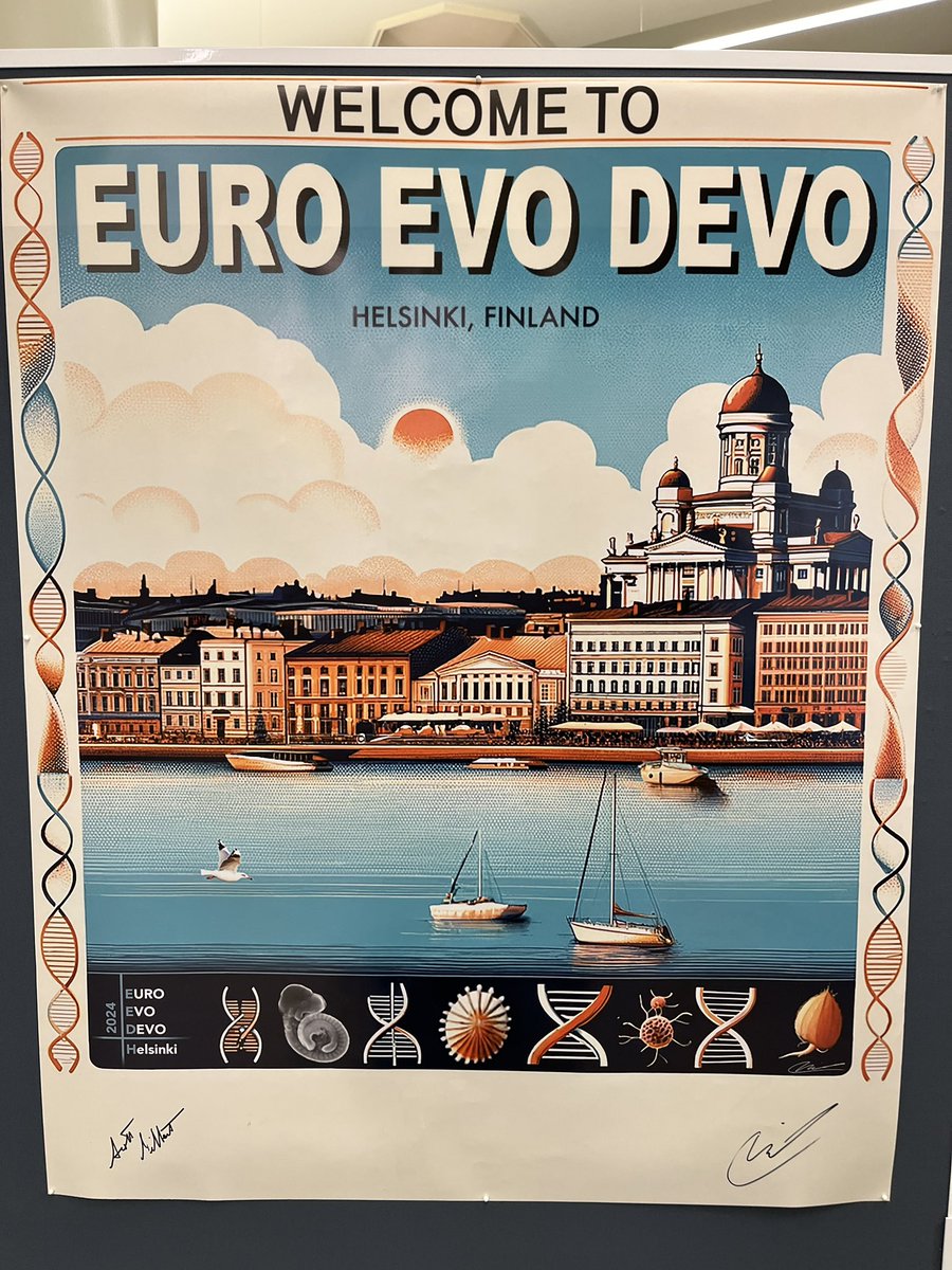 Prof. Leslea J. Hlusko tweet media