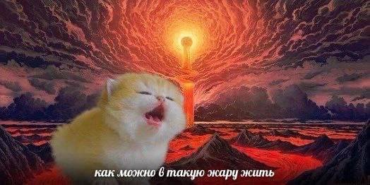 🐸жабья принцесса👑 (@kxiq7u7oc8nsgnc) on Twitter photo 