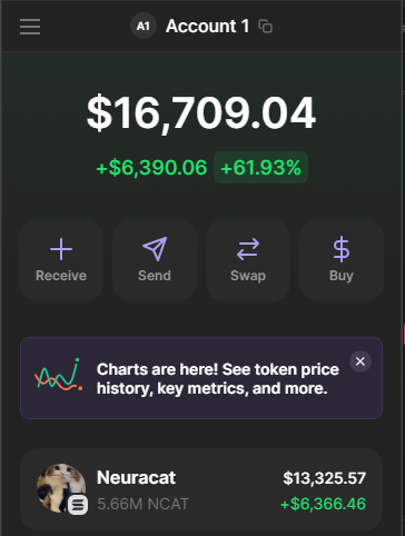 Blinkanomics's tweet photo. $Ncat @neuracatsol we flying is moon next? 🧐🚀 https://t.co/h8LgR99BtK