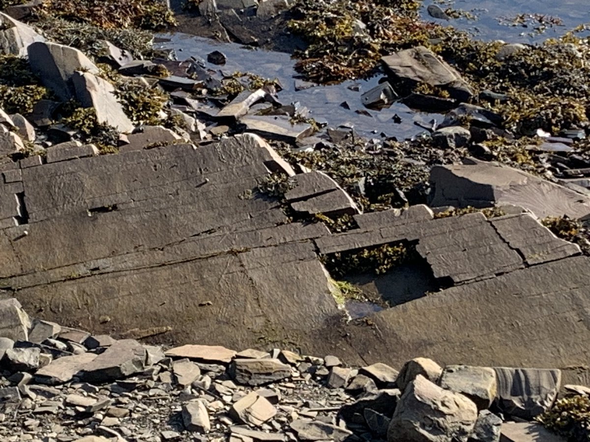 coakerfoundation tweet media