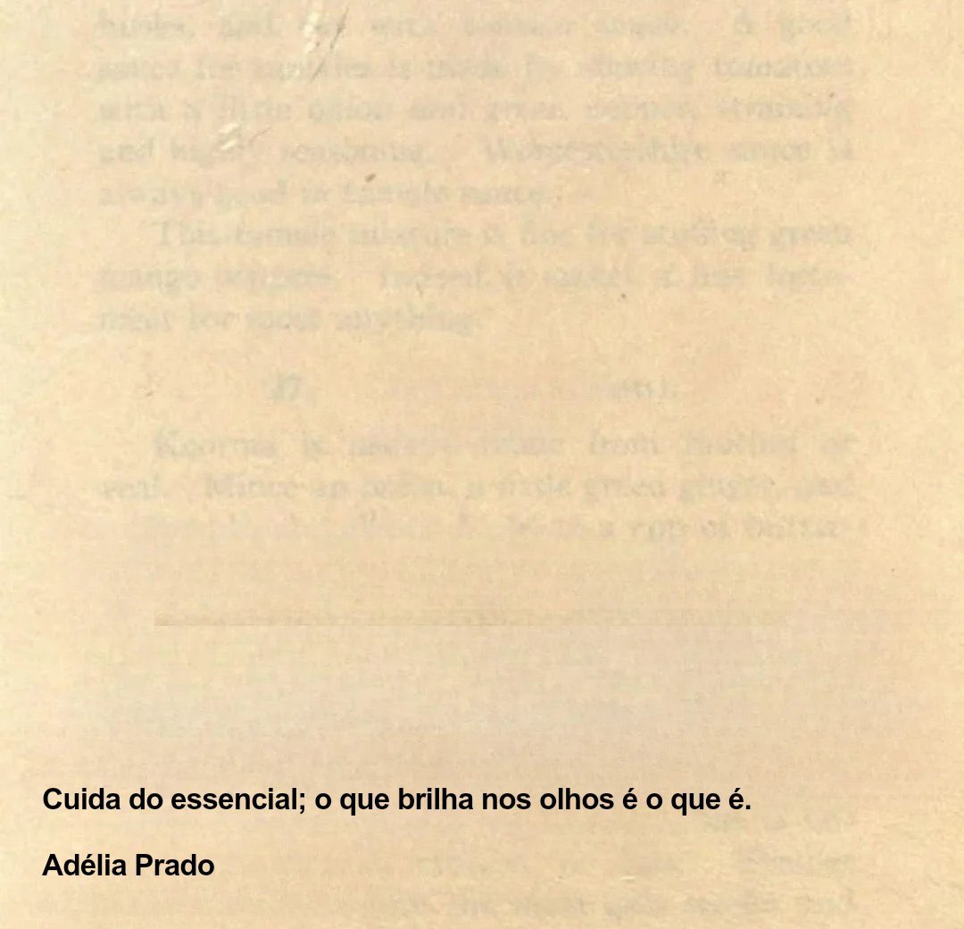 Adélia Prado, vencedora do Prêmio Camões 2024.