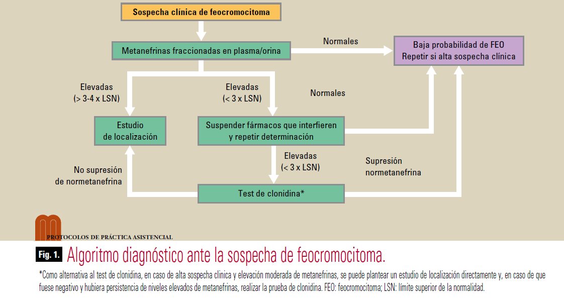 Marta Araujo-Castro, MD, PhD tweet media
