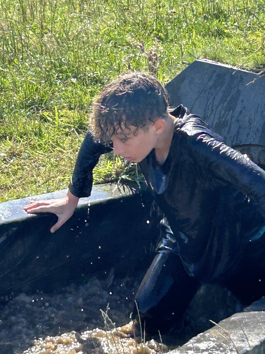 Ms Whitehead tweet media