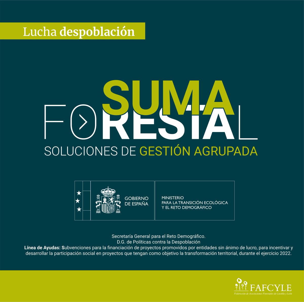 fafcyle's tweet image. ¿Conoces el proyecto SUMA FORESTAL en el que trabajamos con #asfoza, @asfose y @asfova? 

Te invitamos a seguir la cuenta oficial de @sumaforestal para que estés siempre al corriente de todas nuestras actividades.