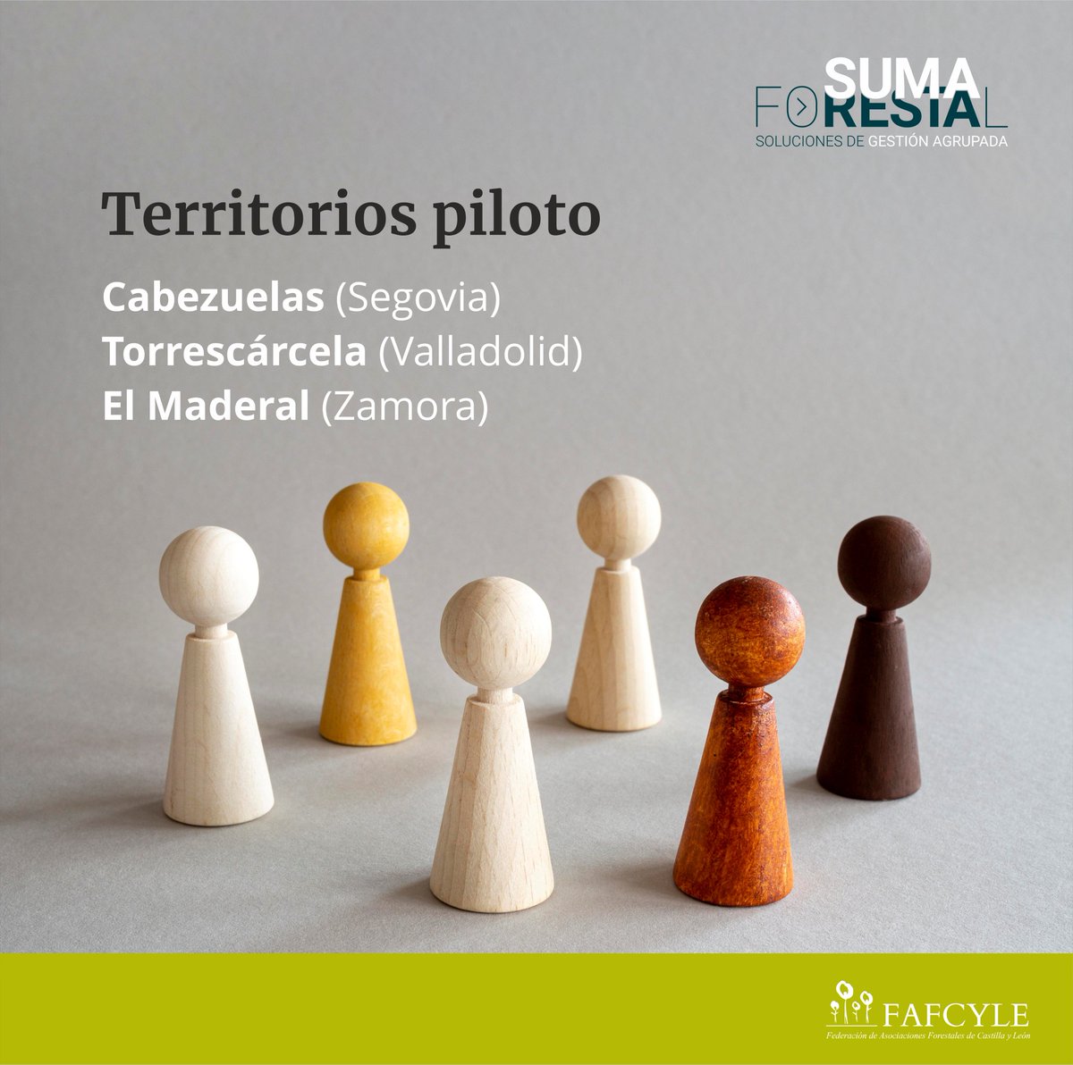 fafcyle's tweet image. ¿Conoces el proyecto SUMA FORESTAL en el que trabajamos con #asfoza, @asfose y @asfova? 

Te invitamos a seguir la cuenta oficial de @sumaforestal para que estés siempre al corriente de todas nuestras actividades.