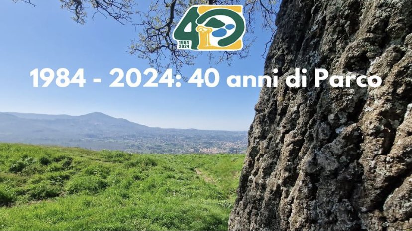 Il #parcocastelliromani è su #Whatsapp e così, grazie al canale dedicato, non occorre più andare a cercare le ultime novità: arrivano direttamente sul proprio 📲 👉 l1nq.com/slOnP