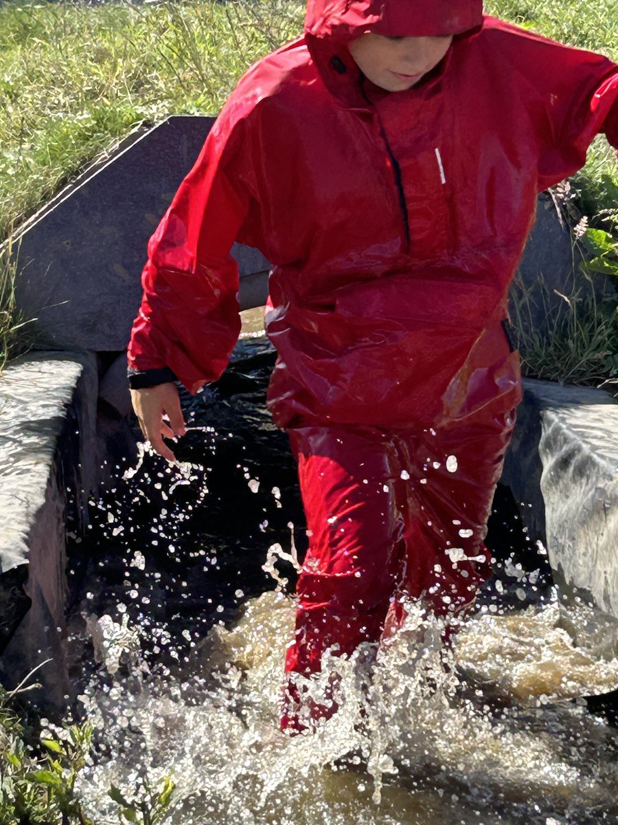 Ms Whitehead tweet media