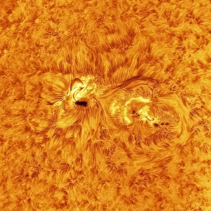 konstructivizm's tweet photo. The most detailed image of the Sun 
NASA https://t.co/SiNqoX9mpT