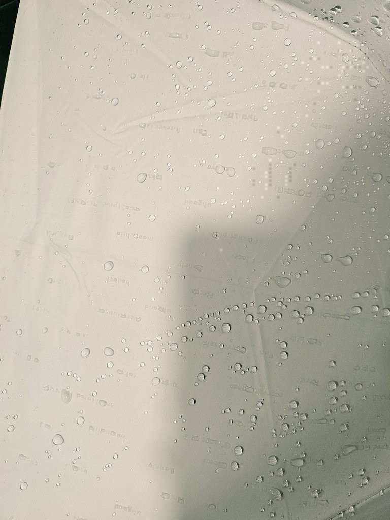 Esu_N_'s tweet photo. Umbrella samples are here!!! And like promised! I'll show u the coolest thing about it 🤩🤩

If you wet the umbrella enough... a rain pattern emerges 👀 and if u look closely.... https://t.co/2O1TerrYud