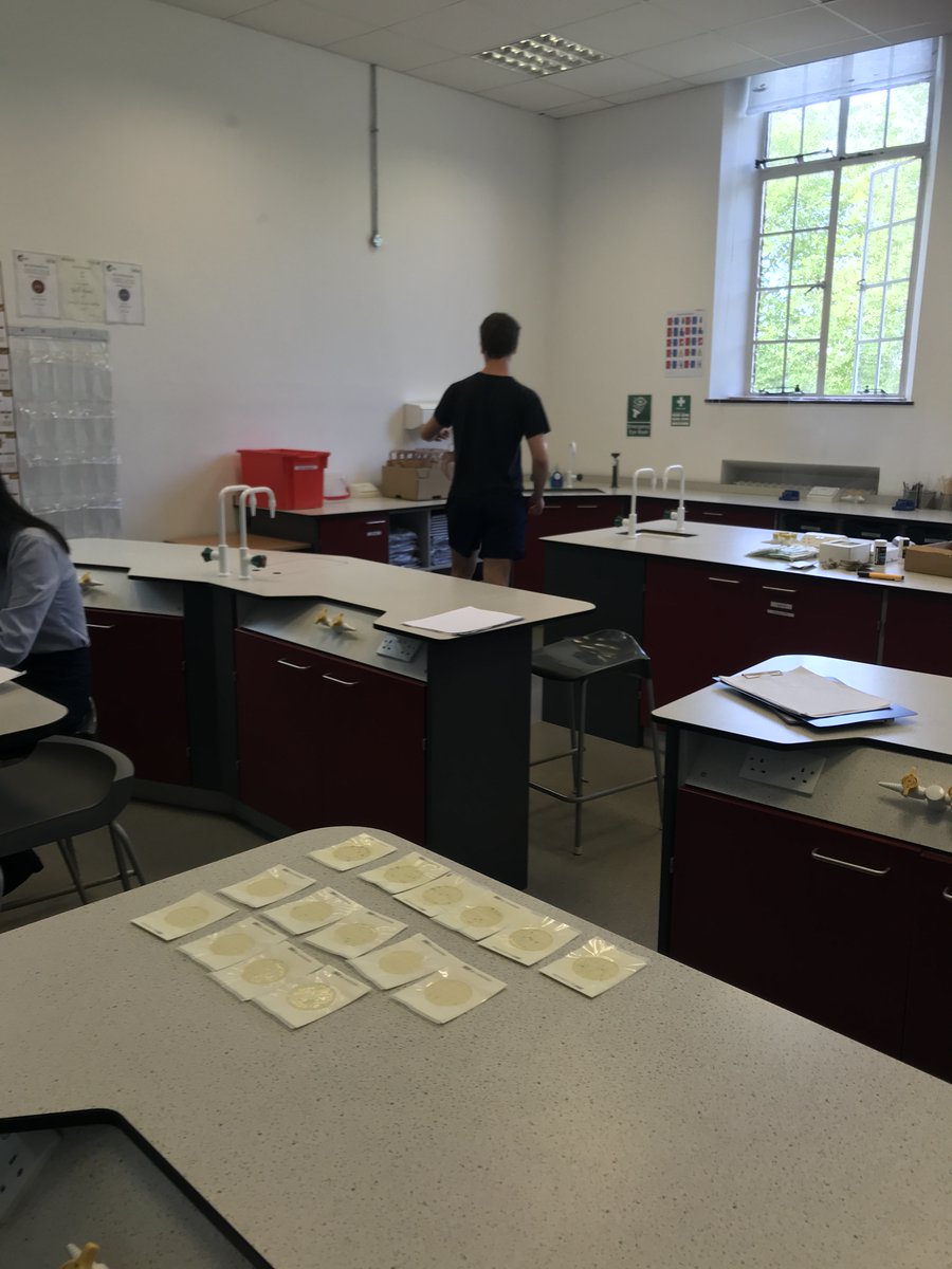 HaileyburyCAS's tweet image. 🌟 Day 3 at @Drikablerivers: Pupils at work in Chemistry Lab after two days of water collection at the river Lea! 🎤 We interviewed them and here&apos;s what they have to say👧👦 #StudentInterviews #Teamwork #EducationSuccess 🌟
