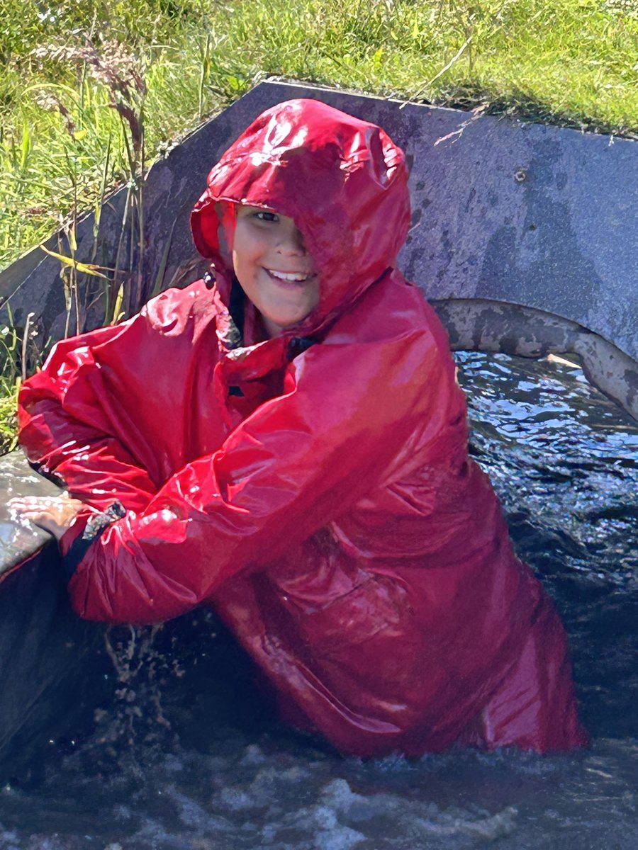 Ms Whitehead tweet media