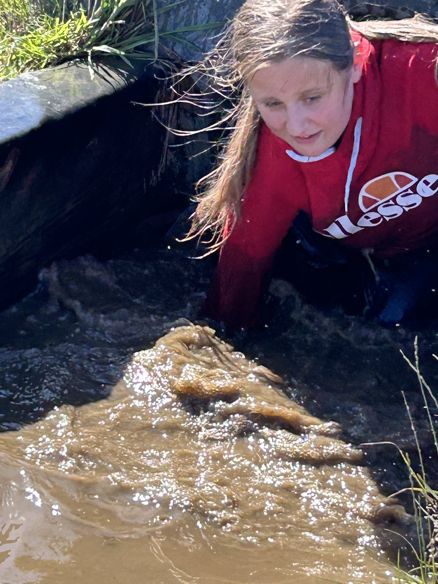 Ms Whitehead tweet media