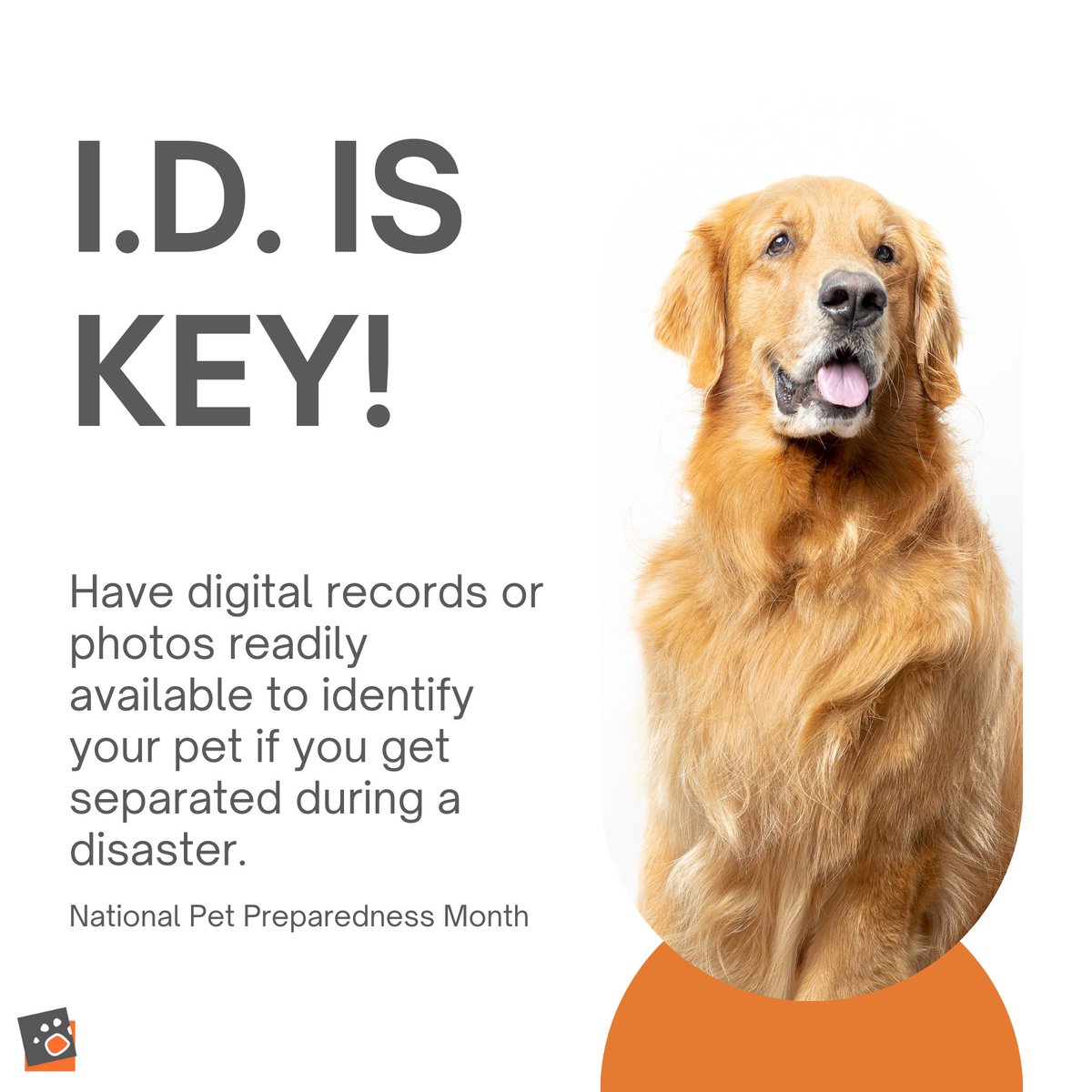 Keep digital records or photos handy to identify your pet if separated during a disaster. Quick ID is crucial for a reunion! 🐾 #PetSafety #EmergencyPreparedness