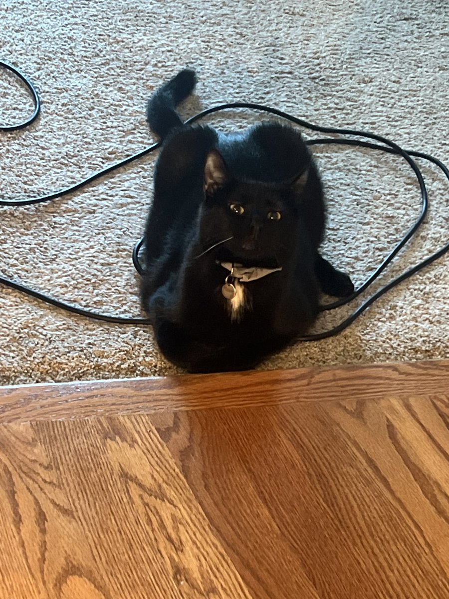 just a little smug