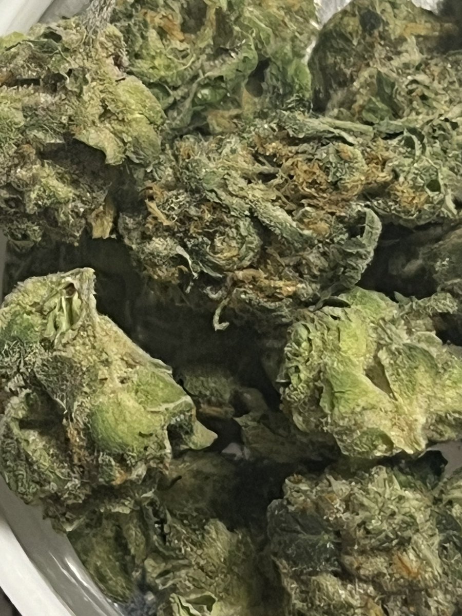 sthrnSTARshines's tweet photo. #GoodAM #MoodMusic

#Marijuana &amp; #Marvin - a story old as time 

Strain: Brownie Scout - 24% THC 3% Terpenes 🔥 https://t.co/2amqvUUv8d