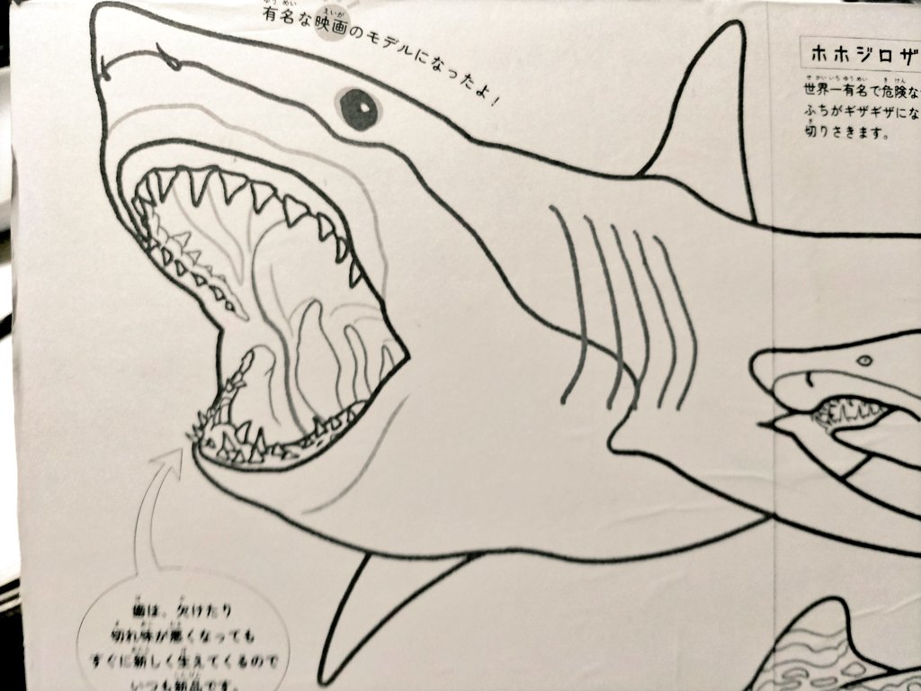 サメ田氏 on X: 