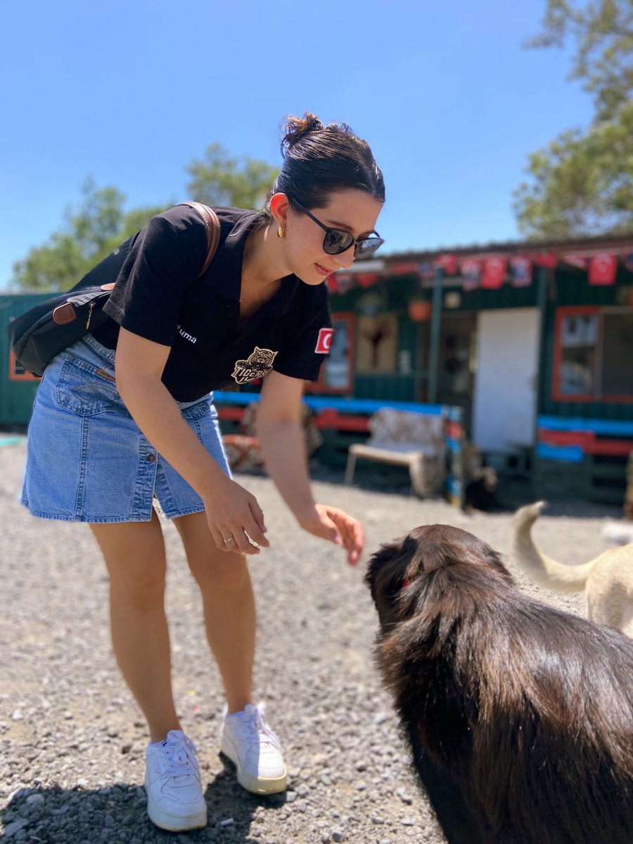 PORFoundation's tweet photo. To visit the Kurtaranev association, which is a home for hundreds of dogs, check out their website: https://t.co/PVgFdw9e0D 💞 https://t.co/IH7UYky1ak