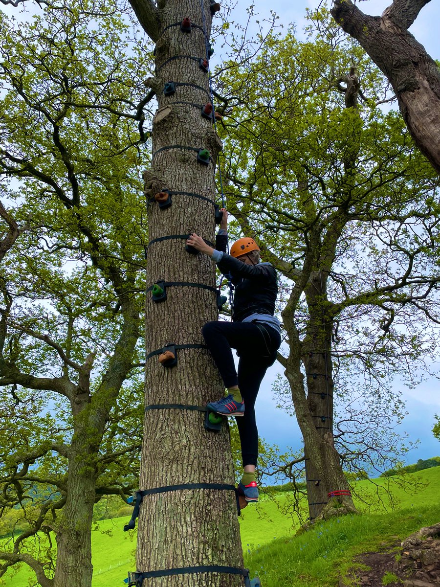 Exmoor Adventures tweet media