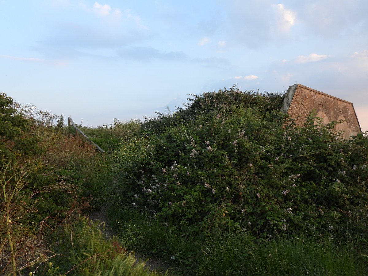 LifeOnSheppey tweet media