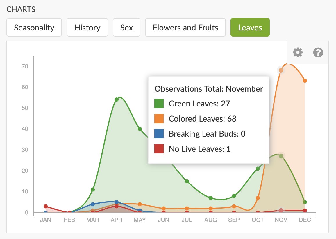 inaturalist's tweet photo. Now you can annotate all iNaturalist observations of vascular plants to indicate evidence of leaf buds, leaves, seasonal color change, or no leaves!

Read more:
https://t.co/5YTg46Uj5H https://t.co/fNGIrcPXwn