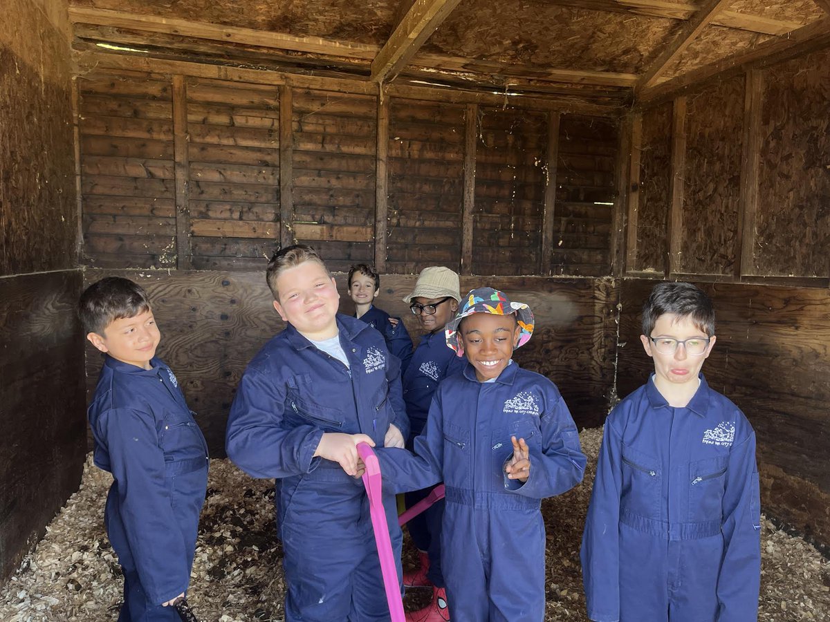 WyvilPrimary's tweet photo. Most of group one enjoying mucking out and grooming the horses #farmtrip https://t.co/kh7CG2zii2