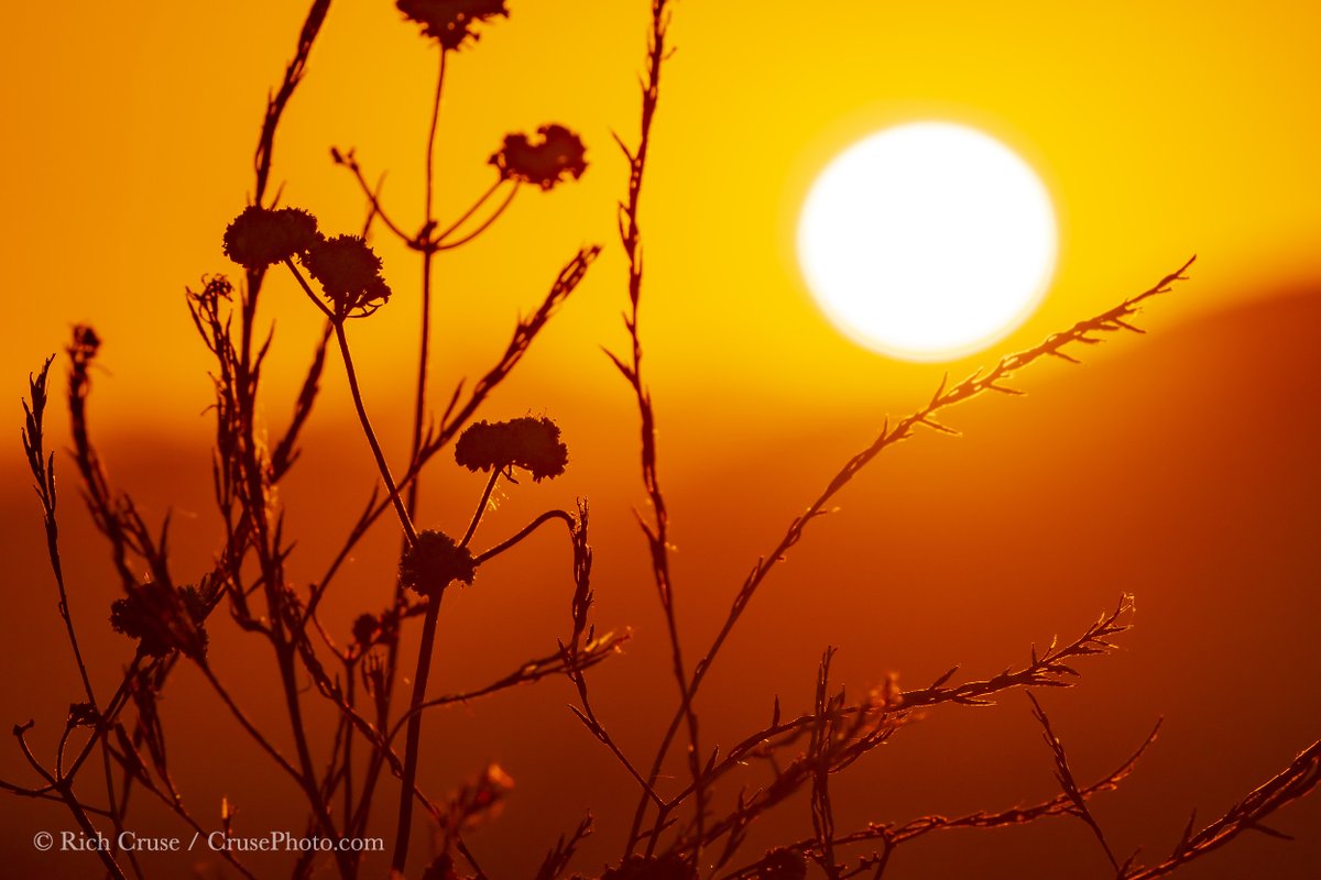 #Sunset in #Menifee. #StormHour #ThePhotoHour #CAwx <a href="/VisitCA/">Visit California</a>