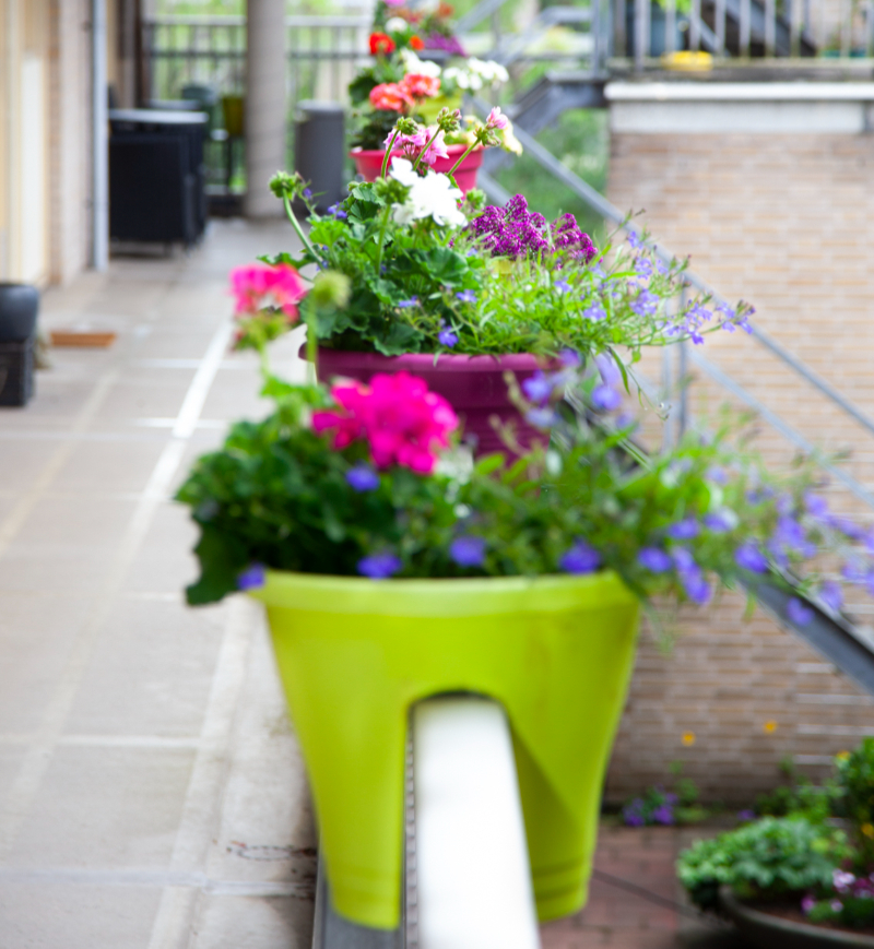 Doe mee aan de Tuinwedstrijd in Uitgeest! Kennemer Wonen organiseert t/m 12 augustus een wedstrijd voor de meest opgeknapte, vergroende, of verduurzaamde tuin. De winnaars ontvangen een cadeaubon van €75. Meer info:  bit.ly/3yVzKkk #Tuinwedstrijd #Uitgeest